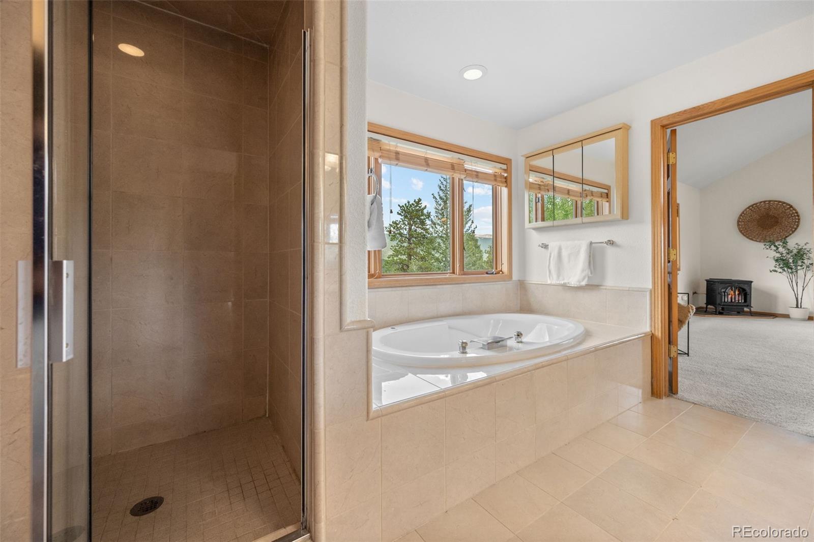 MLS Image #32 for 1363  royal ridge drive,bailey, Colorado