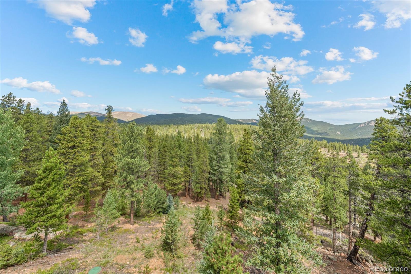 MLS Image #45 for 1363  royal ridge drive,bailey, Colorado