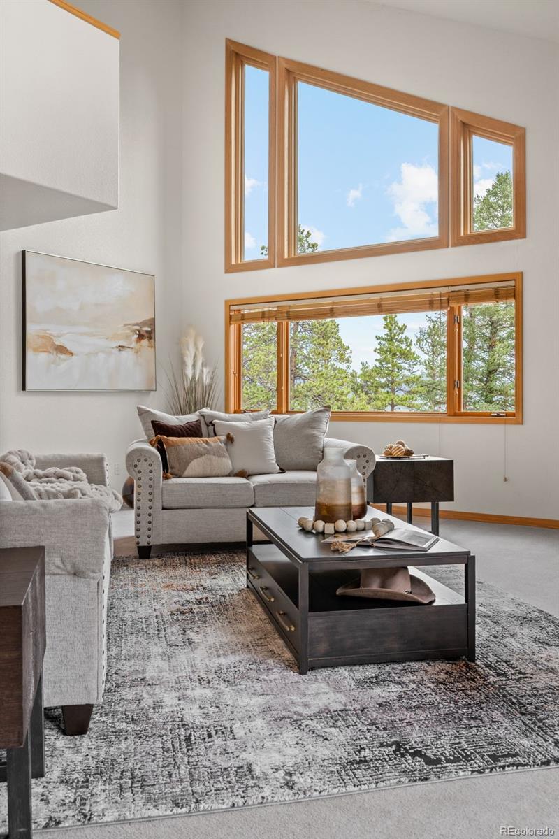 MLS Image #8 for 1363  royal ridge drive,bailey, Colorado