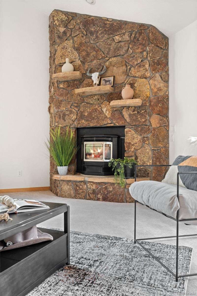 MLS Image #9 for 1363  royal ridge drive,bailey, Colorado