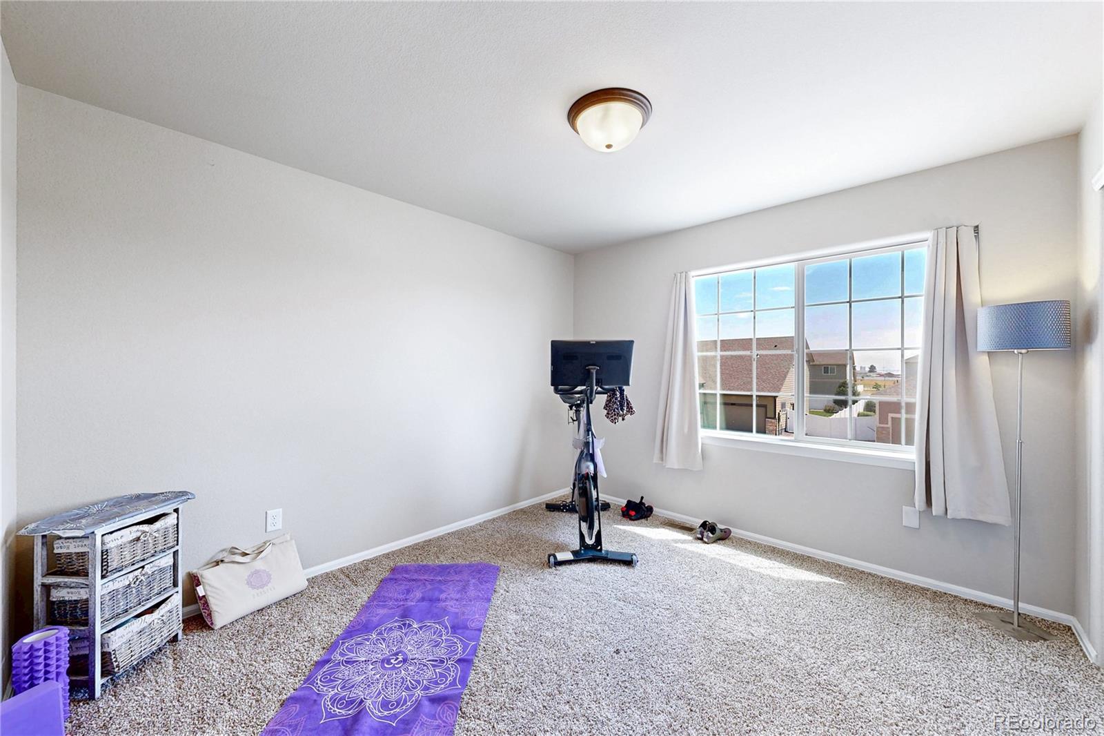 MLS Image #21 for 1002  maplebrook drive,windsor, Colorado
