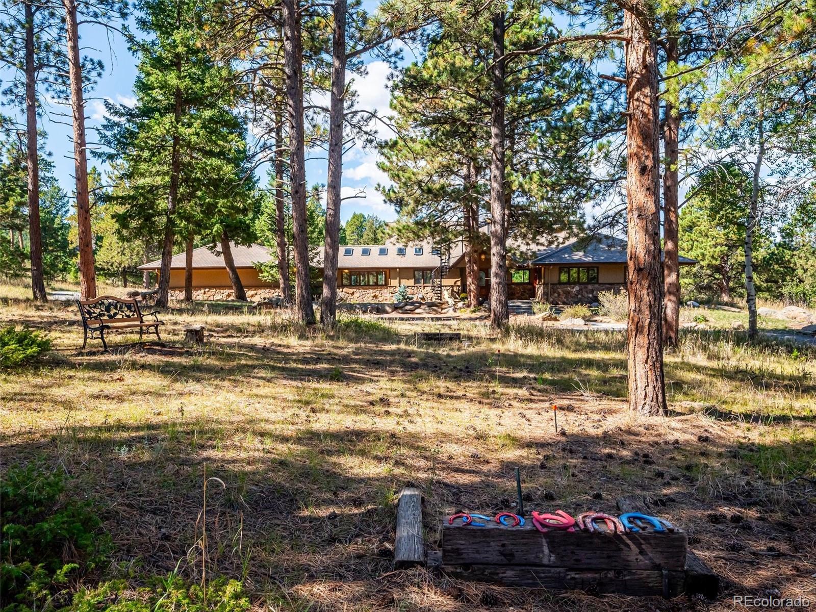 MLS Image #3 for 22284 n turkey creek road,morrison, Colorado