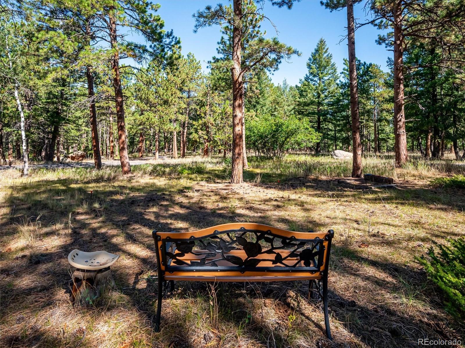 MLS Image #4 for 22284 n turkey creek road,morrison, Colorado