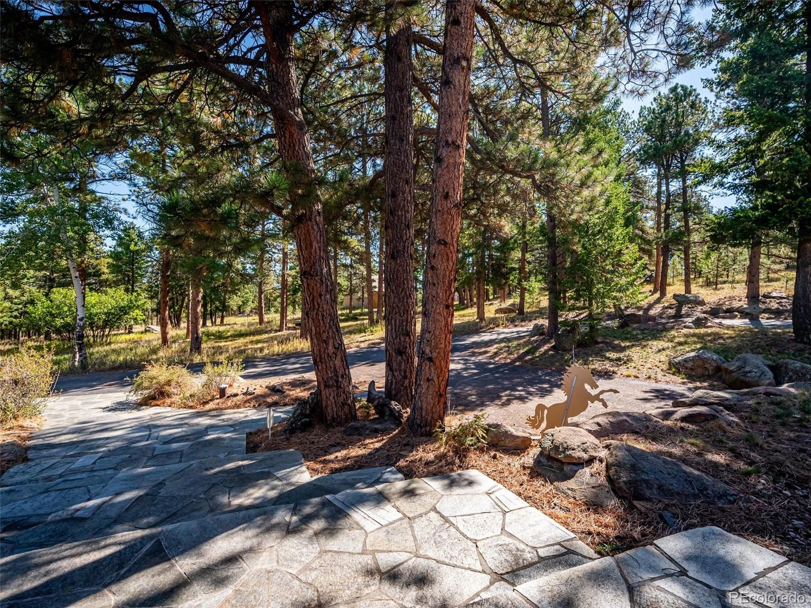 MLS Image #5 for 22284 n turkey creek road,morrison, Colorado
