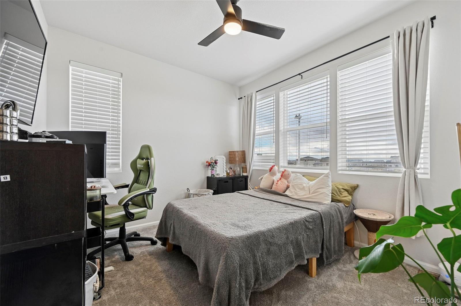 MLS Image #14 for 3964  haleyville court,aurora, Colorado