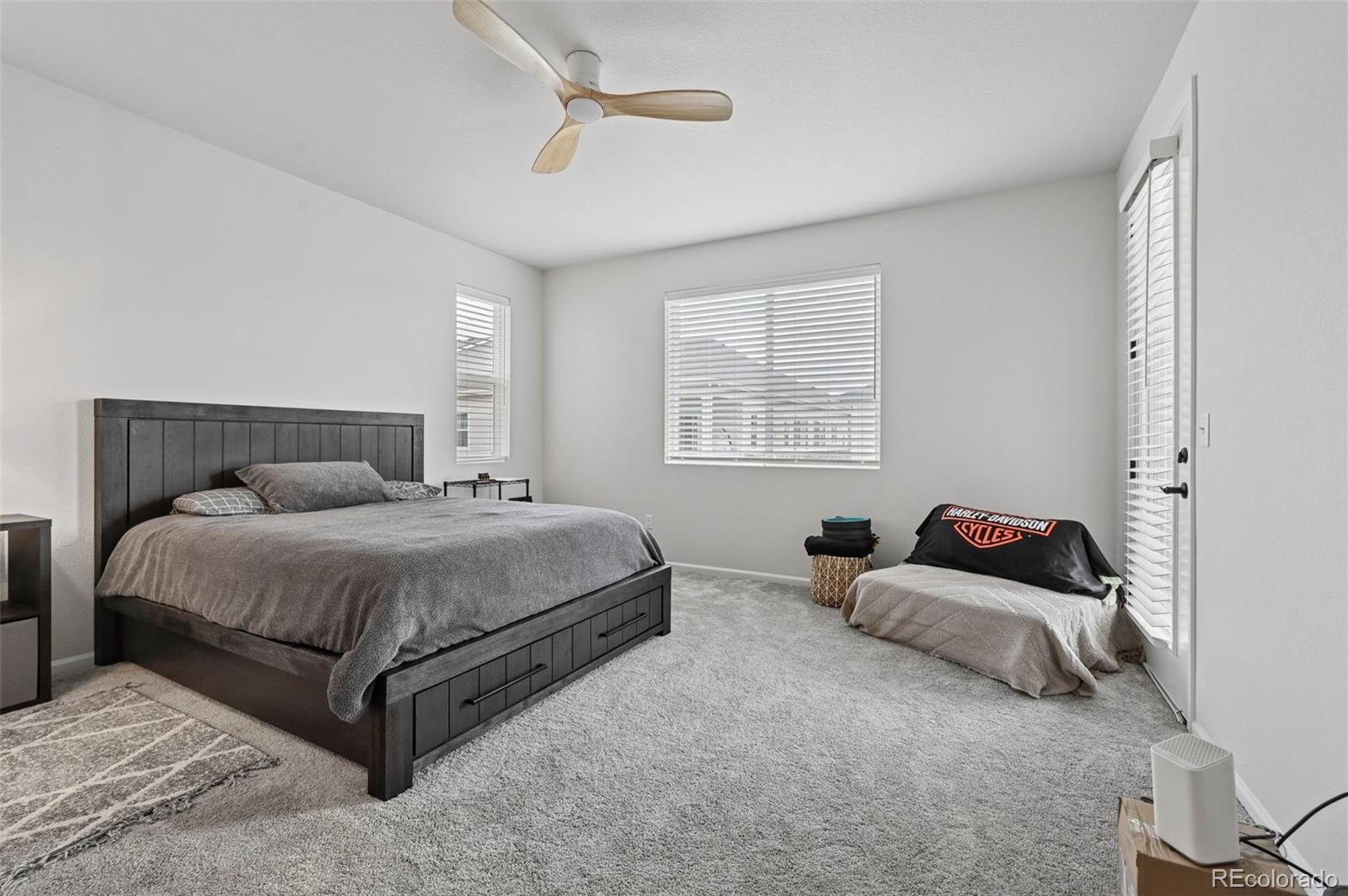 MLS Image #15 for 3964  haleyville court,aurora, Colorado
