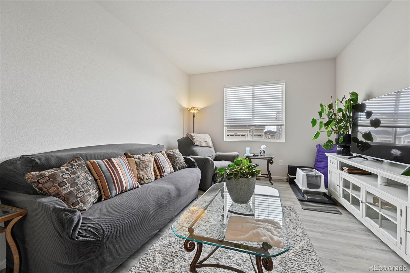 MLS Image #9 for 3964  haleyville court,aurora, Colorado