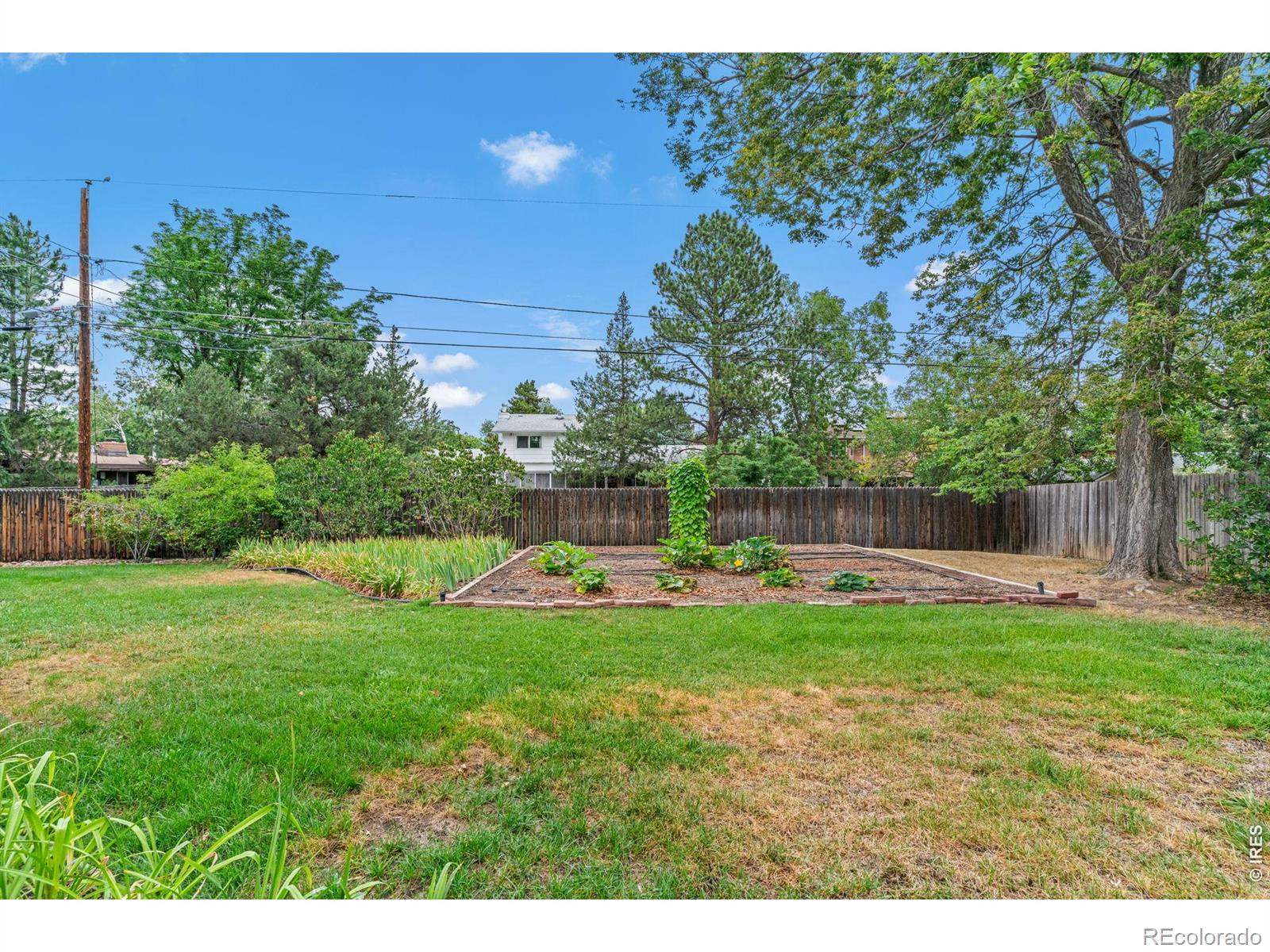 MLS Image #31 for 5161  laurel avenue,boulder, Colorado