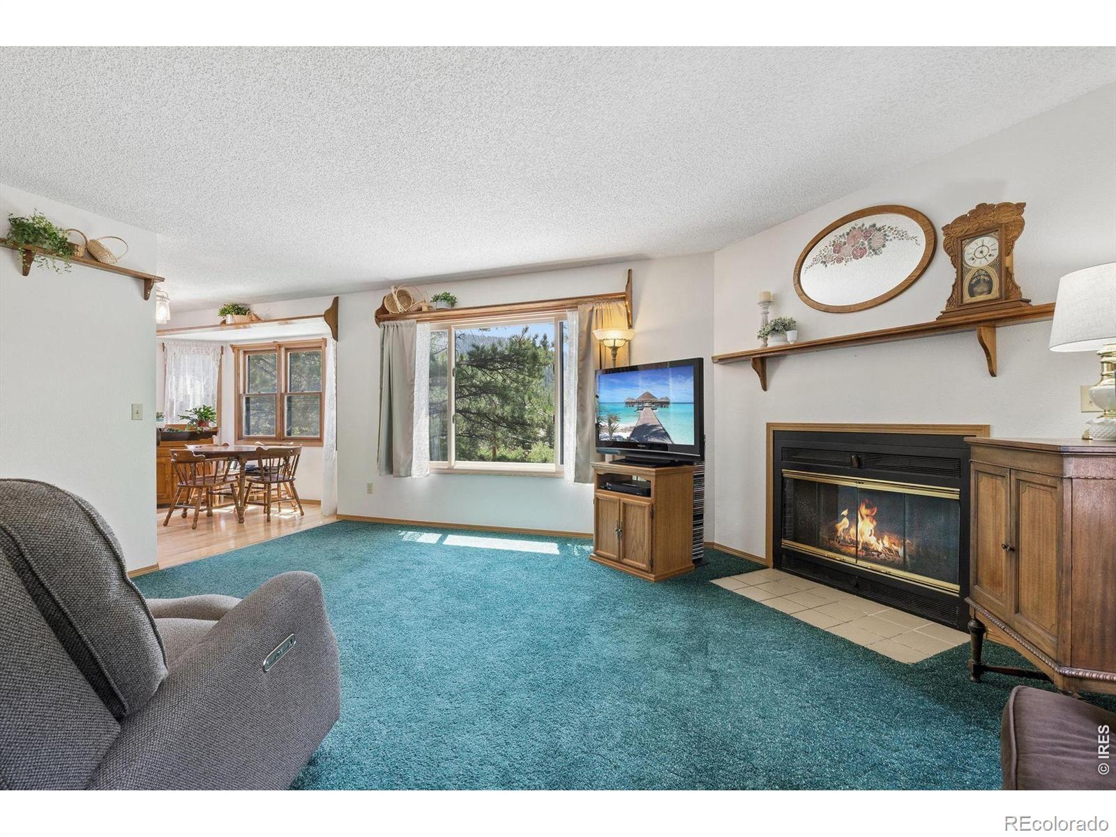 MLS Image #10 for 225  hell canyon road,estes park, Colorado