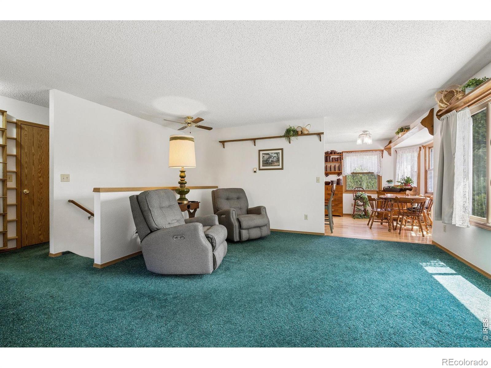 MLS Image #11 for 225  hell canyon road,estes park, Colorado