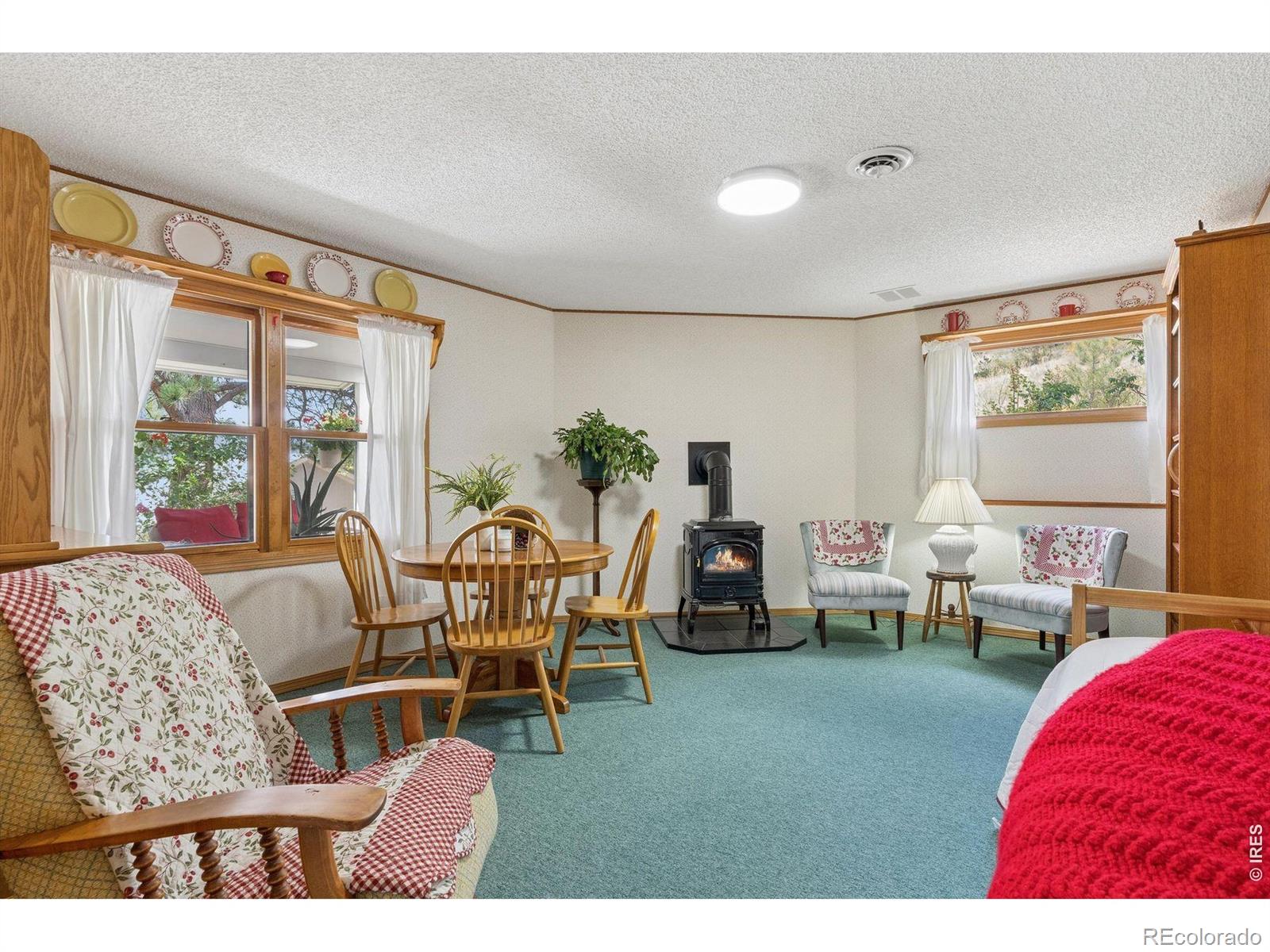 MLS Image #13 for 225  hell canyon road,estes park, Colorado