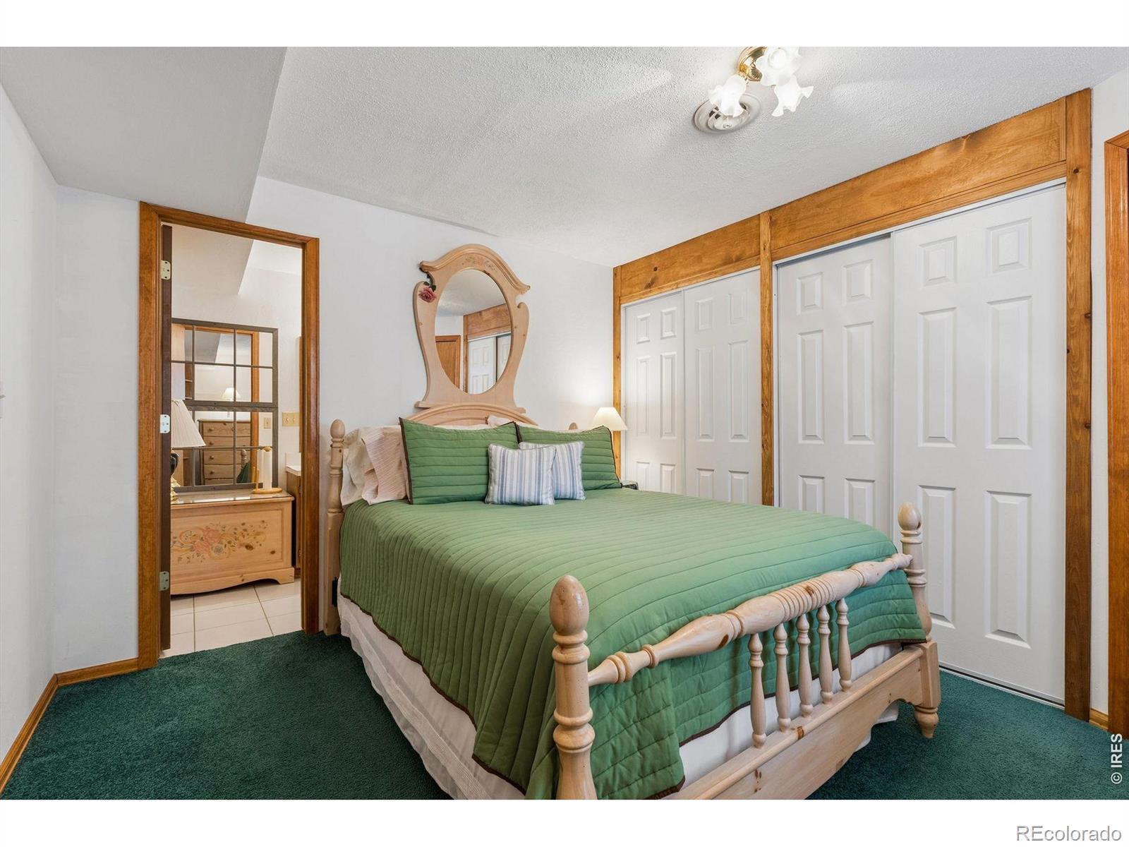 MLS Image #19 for 225  hell canyon road,estes park, Colorado