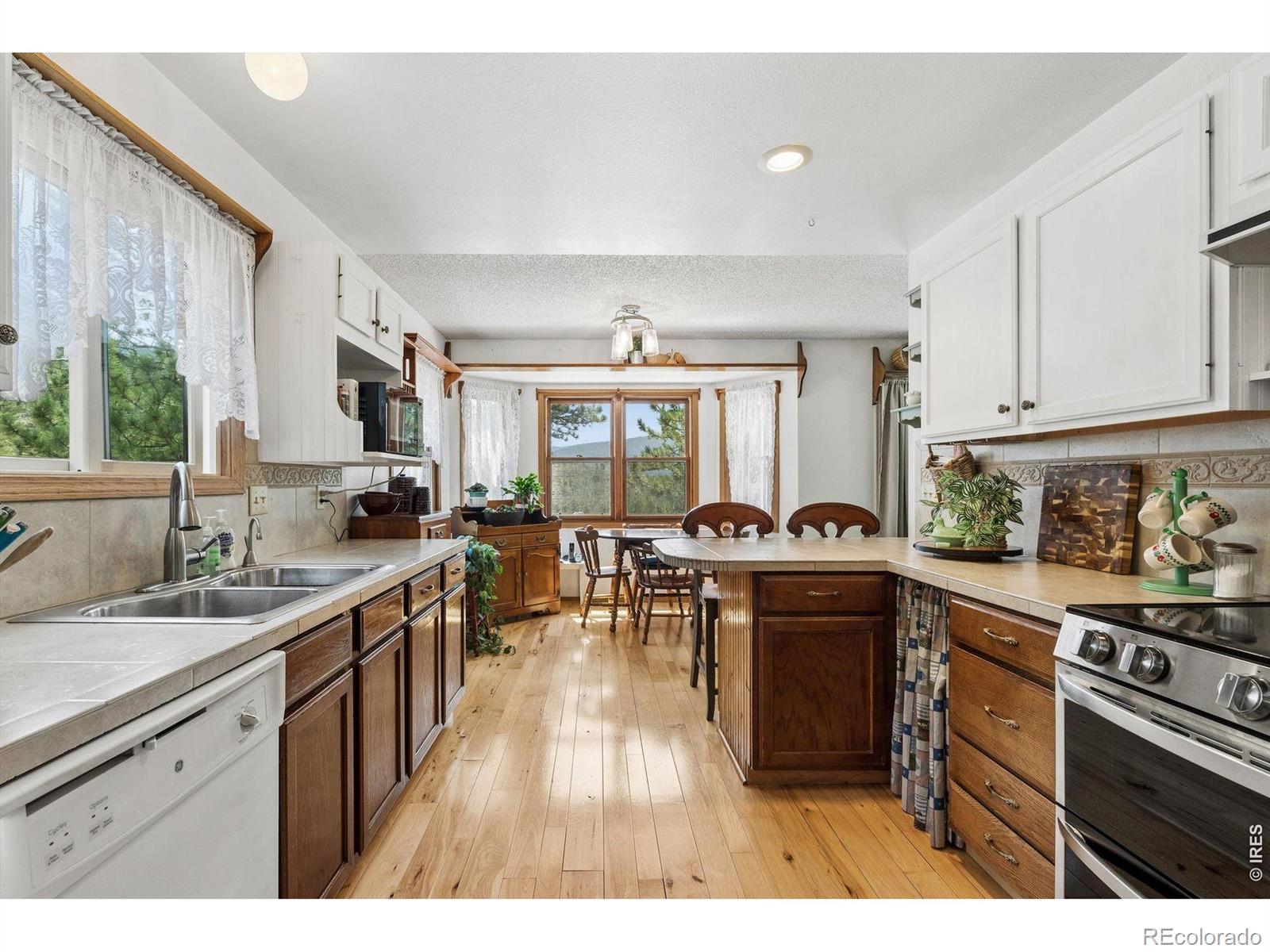 MLS Image #4 for 225  hell canyon road,estes park, Colorado