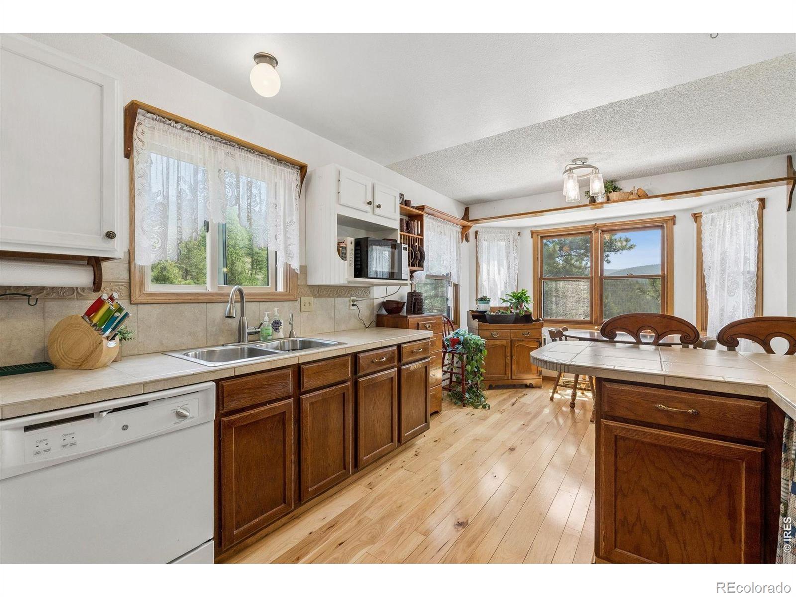 MLS Image #5 for 225  hell canyon road,estes park, Colorado