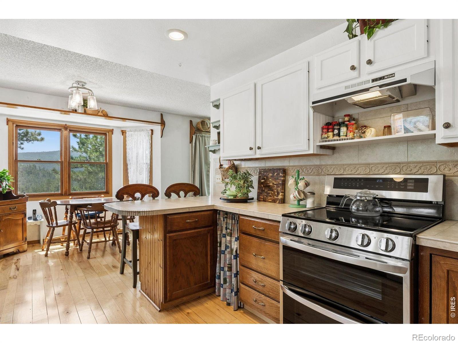 MLS Image #6 for 225  hell canyon road,estes park, Colorado