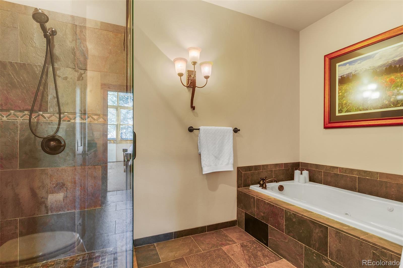 MLS Image #21 for 405  bald eagle road,silverthorne, Colorado