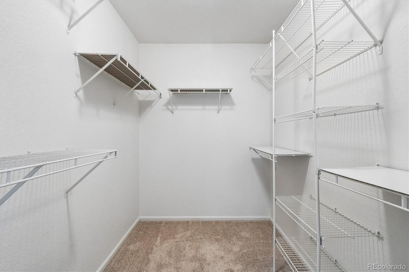 MLS Image #15 for 1407  laurenwood way,littleton, Colorado