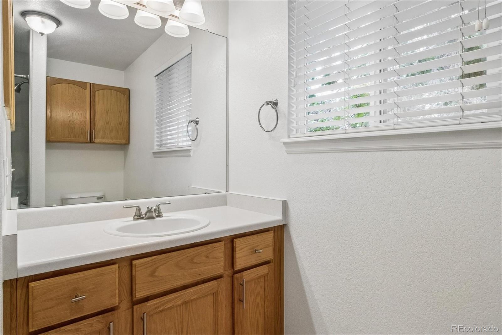 MLS Image #18 for 1407  laurenwood way,littleton, Colorado