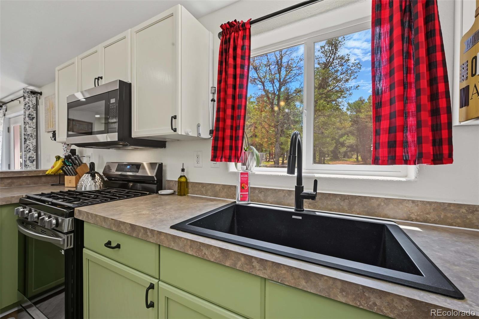 MLS Image #18 for 888  14th trail,cotopaxi, Colorado
