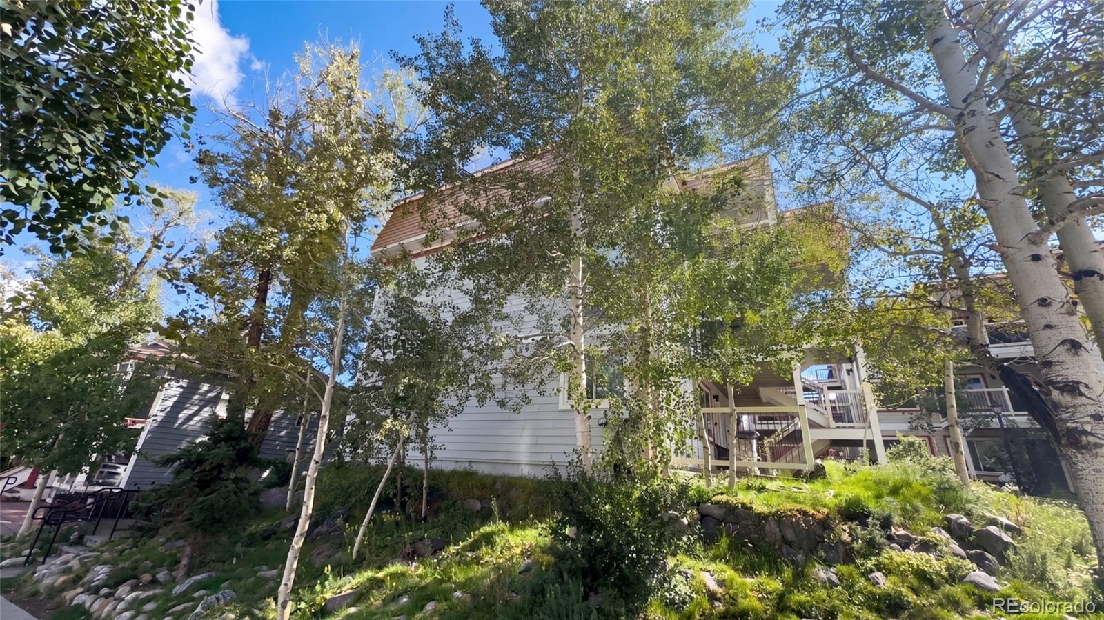 MLS Image #14 for 412 s main street,breckenridge, Colorado