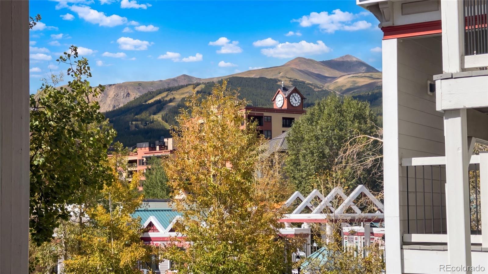 MLS Image #16 for 412 s main street,breckenridge, Colorado