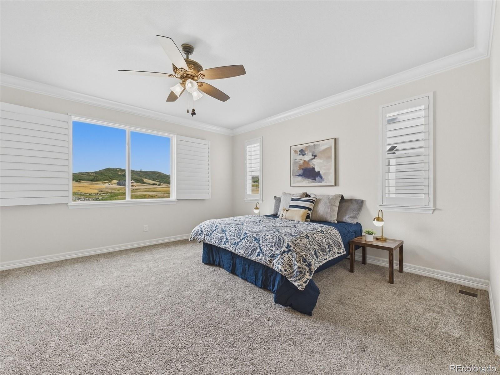 MLS Image #6 for 6142  leilani lane,castle rock, Colorado
