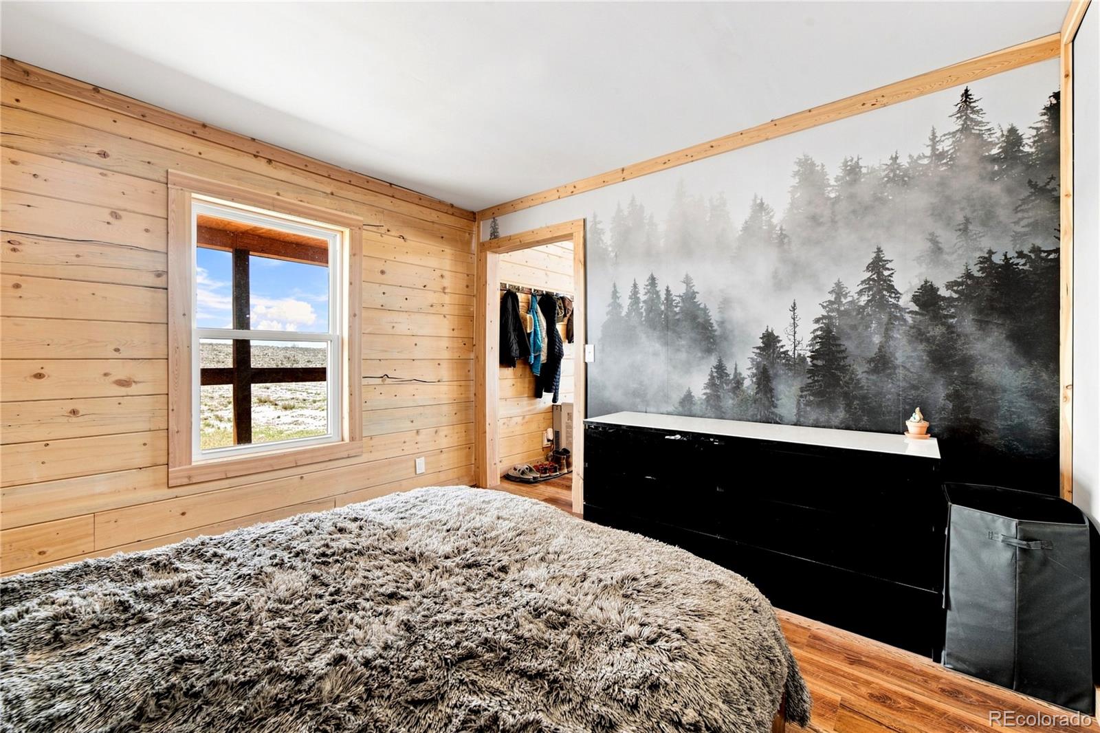 MLS Image #13 for 2400  phantom terrace drive,westcliffe, Colorado