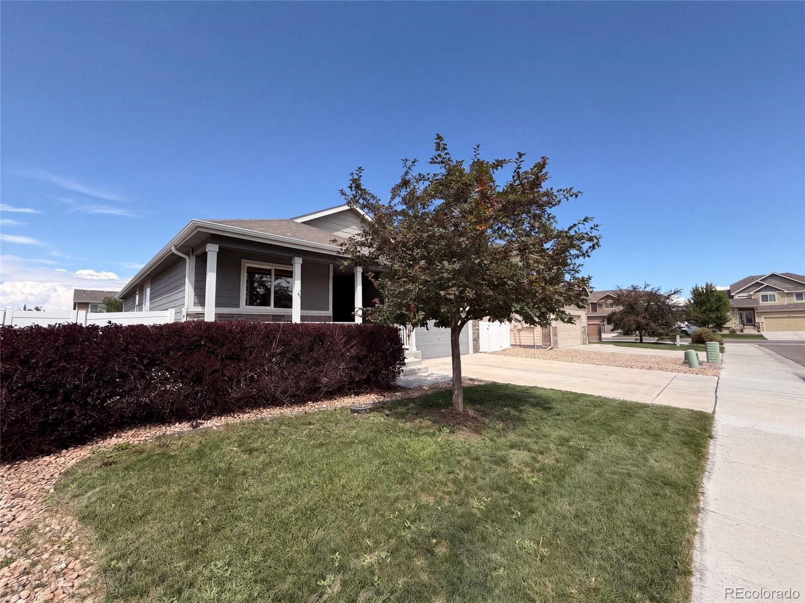 MLS Image #31 for 1542  water vista lane,windsor, Colorado