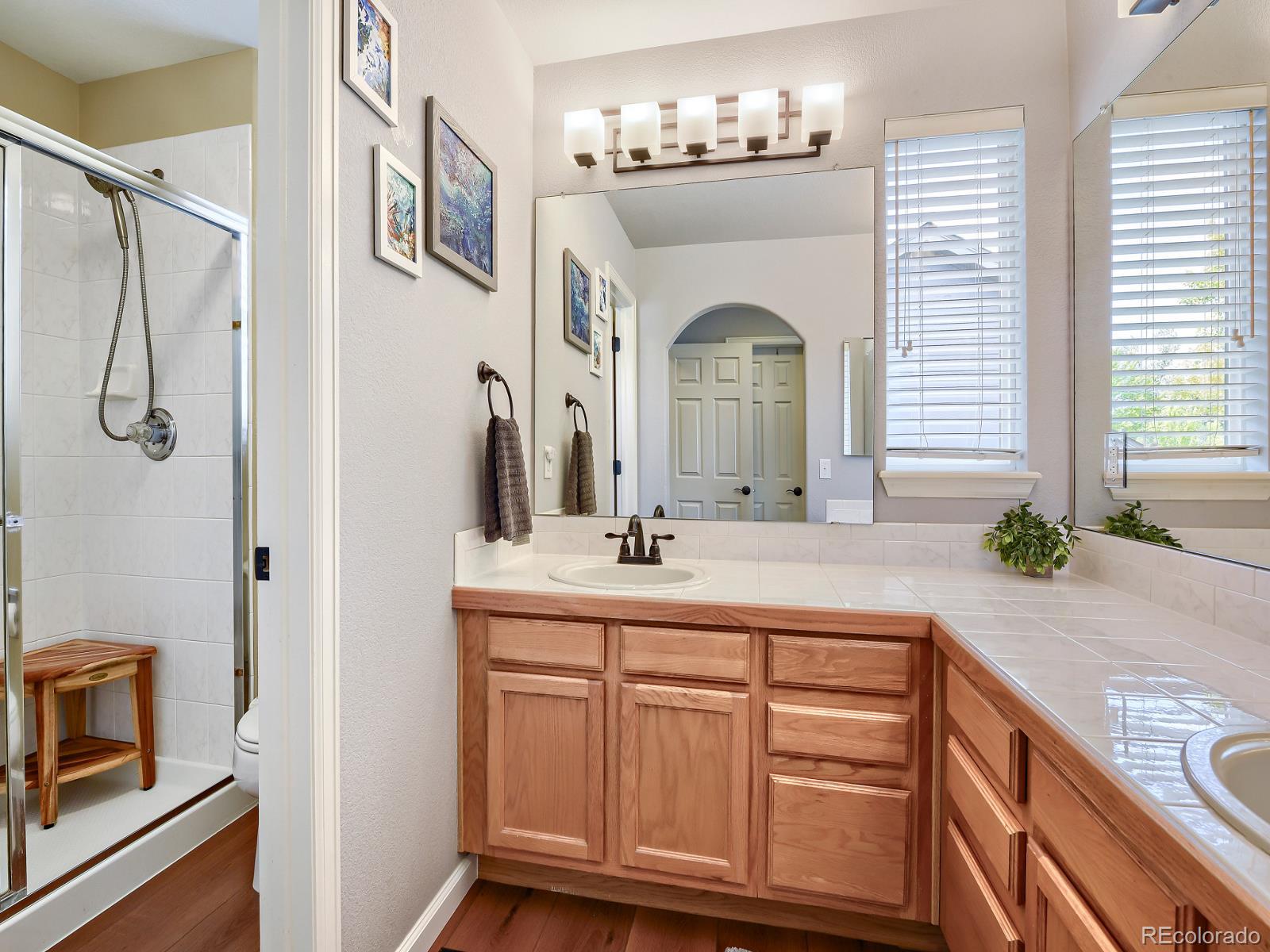 MLS Image #15 for 362  english sparrow drive,littleton, Colorado