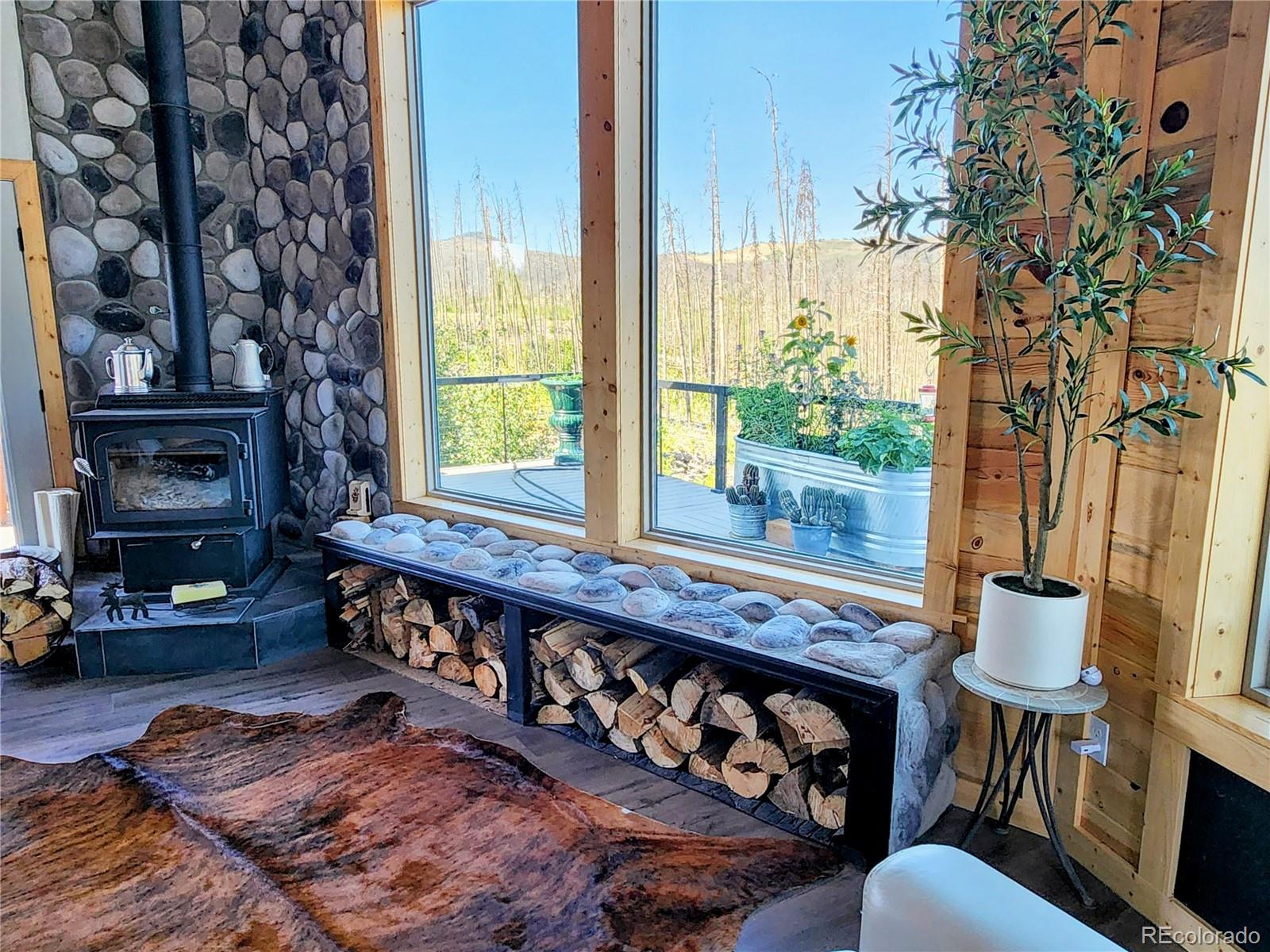 MLS Image #13 for 1180  1180 bechtel place,fort garland, Colorado