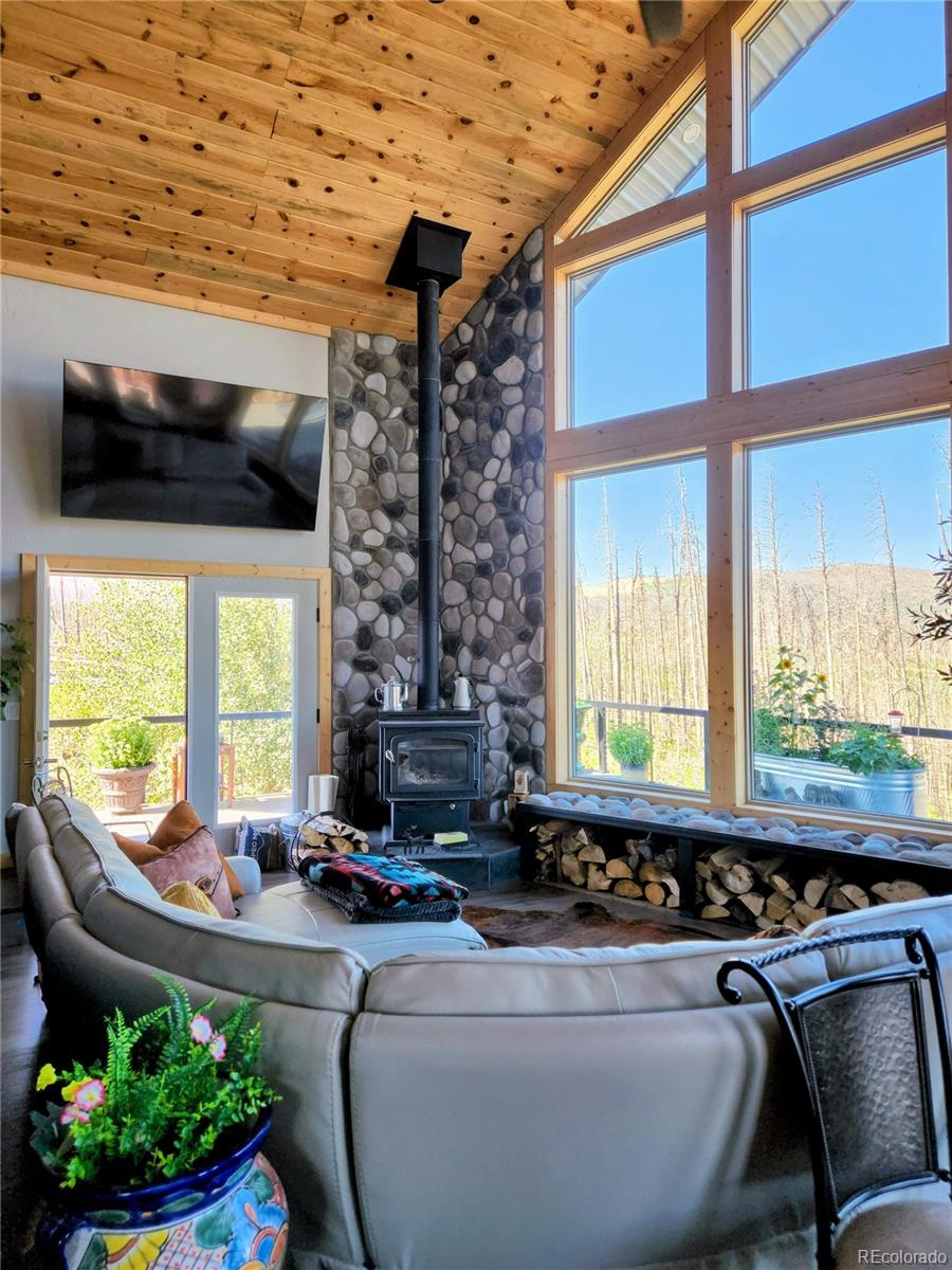 MLS Image #14 for 1180  1180 bechtel place,fort garland, Colorado