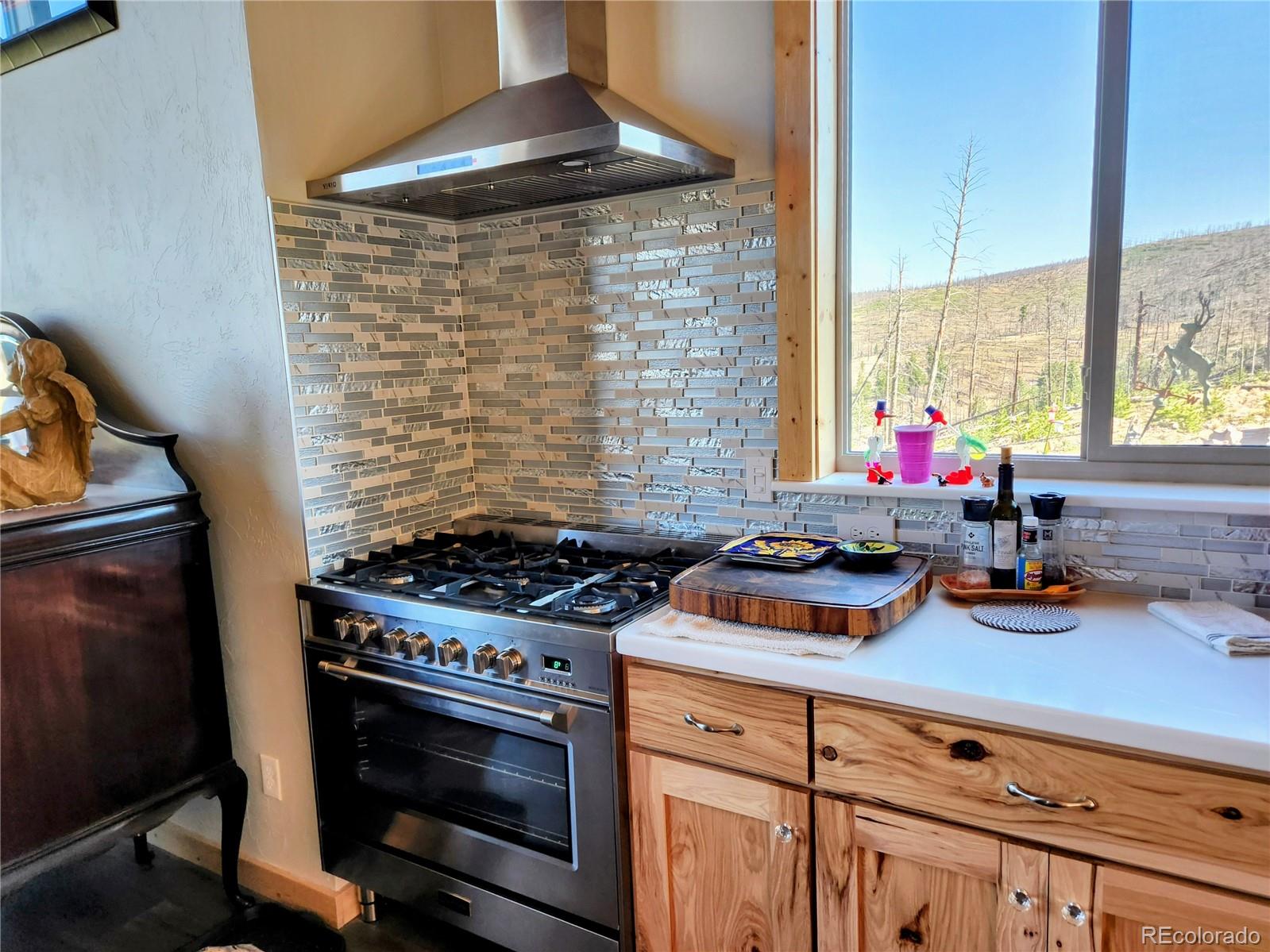 MLS Image #23 for 1180  1180 bechtel place,fort garland, Colorado