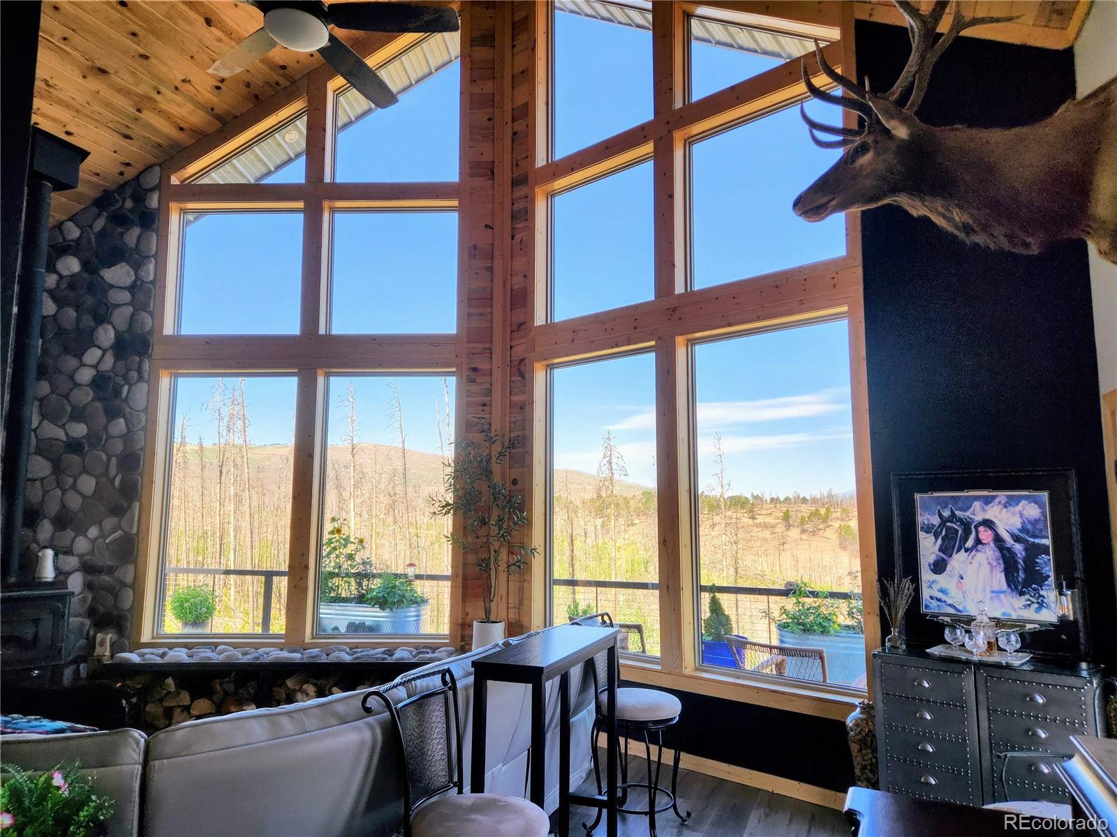 MLS Image #4 for 1180  1180 bechtel place,fort garland, Colorado