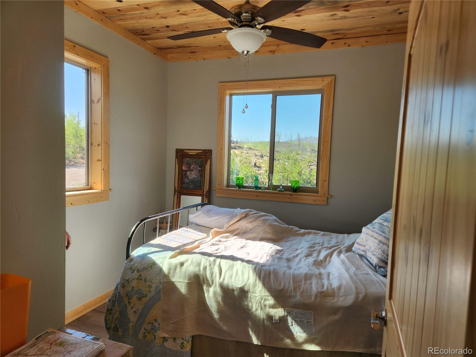 MLS Image #8 for 1180  1180 bechtel place,fort garland, Colorado