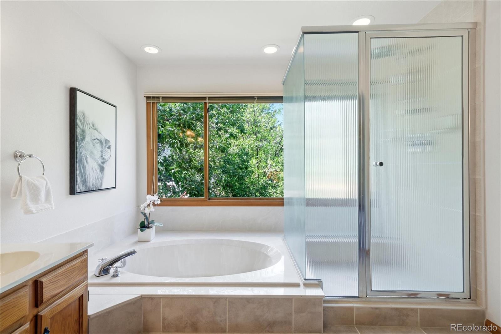 MLS Image #18 for 17023 e dorado drive,centennial, Colorado