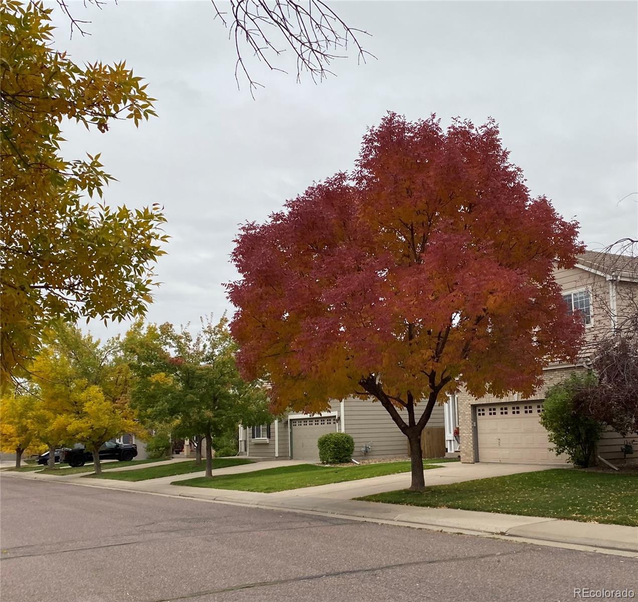 MLS Image #22 for 6827 w rockland place,littleton, Colorado