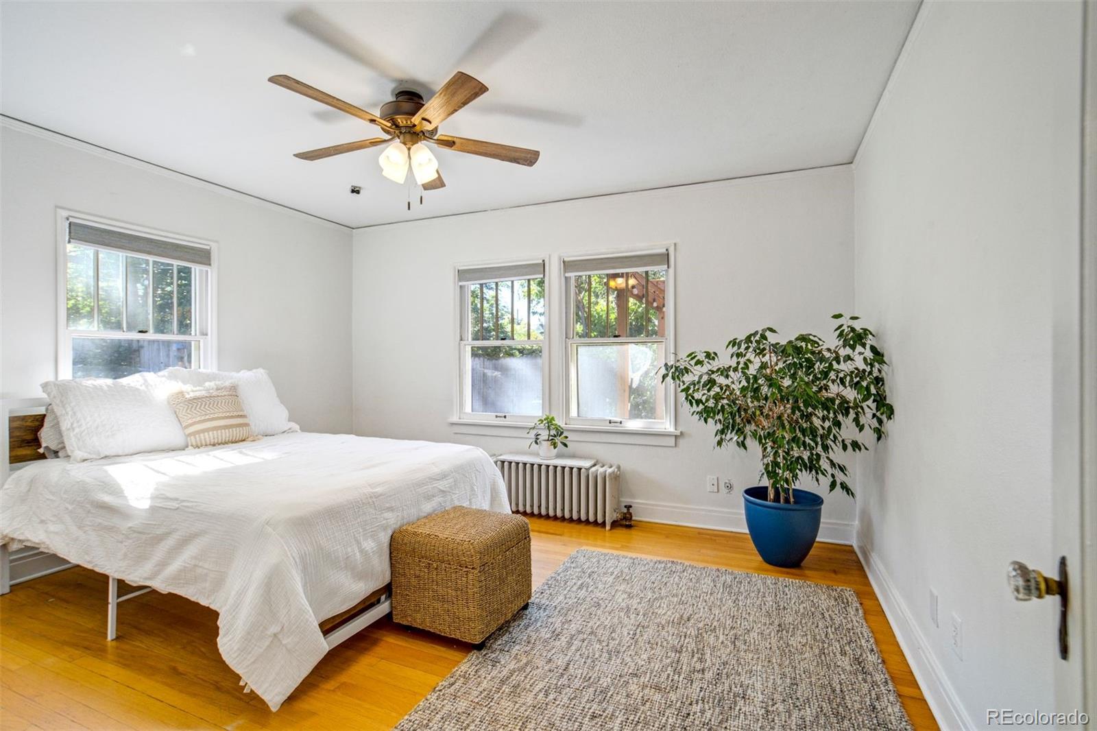 MLS Image #18 for 2221  wood avenue,colorado springs, Colorado