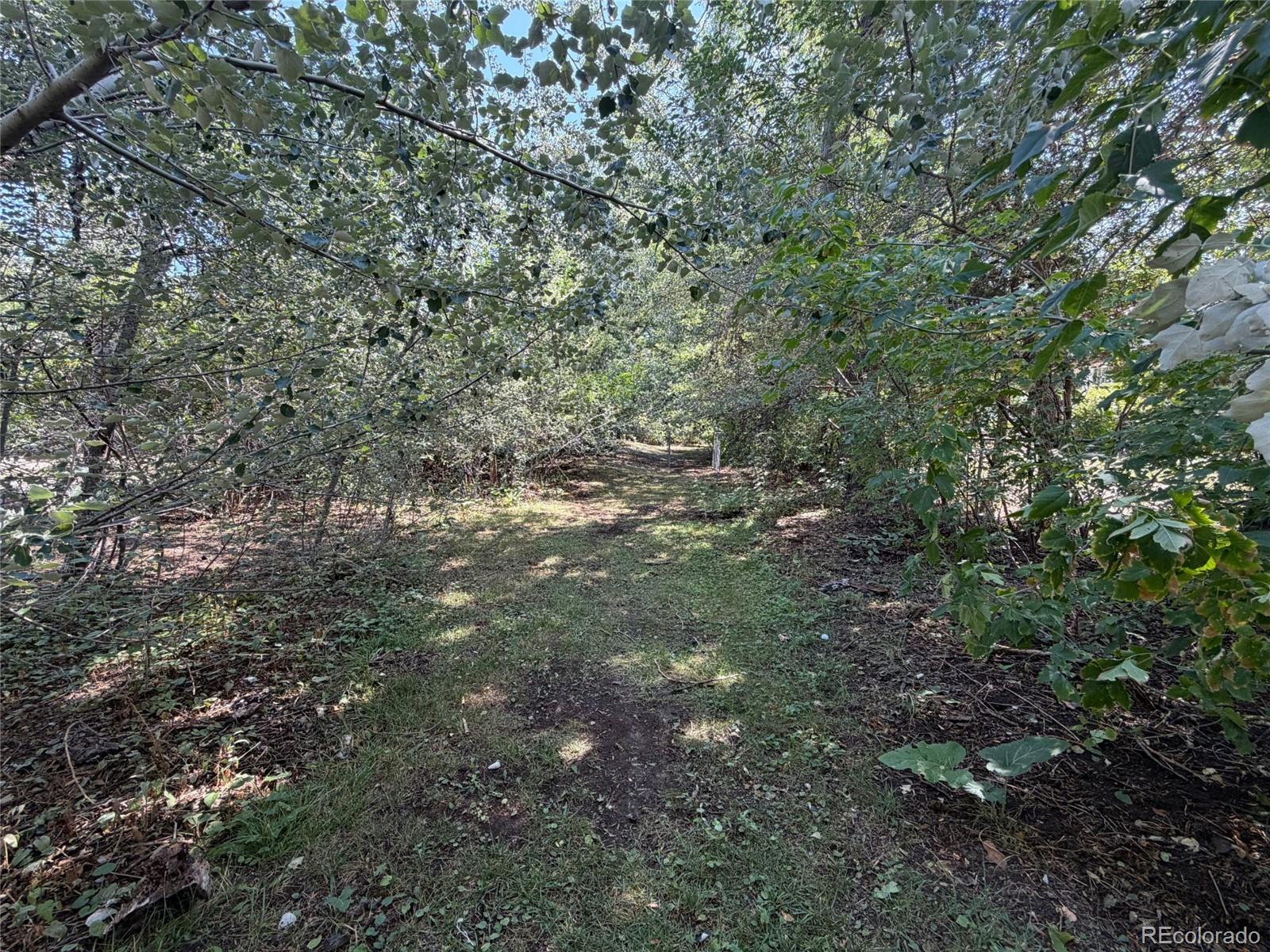 MLS Image #40 for 1395  orchard road,golden, Colorado