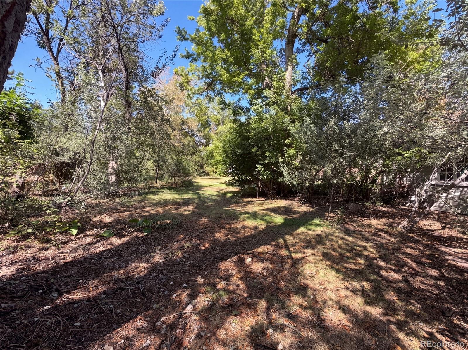 MLS Image #41 for 1395  orchard road,golden, Colorado