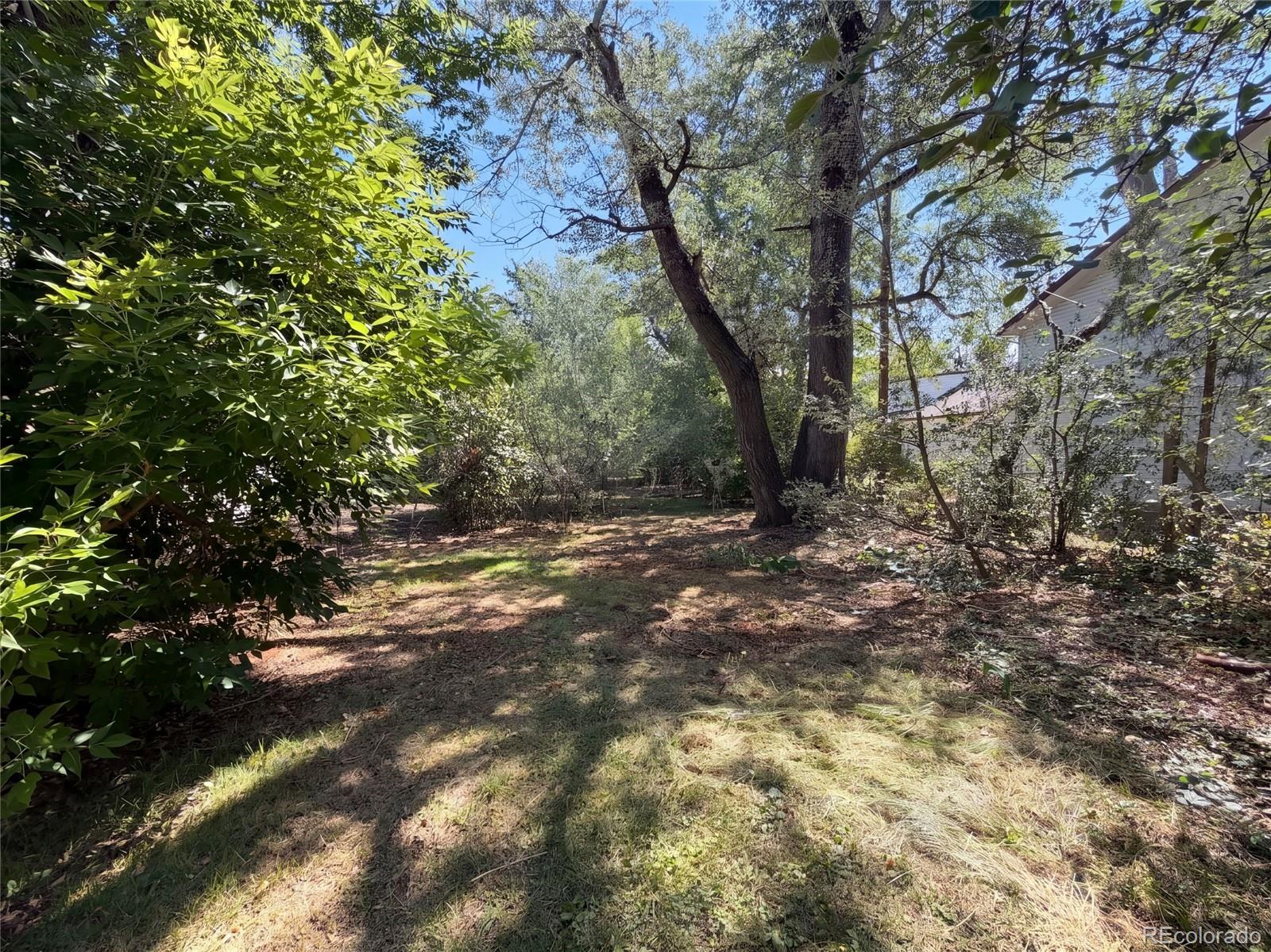 MLS Image #43 for 1395  orchard road,golden, Colorado