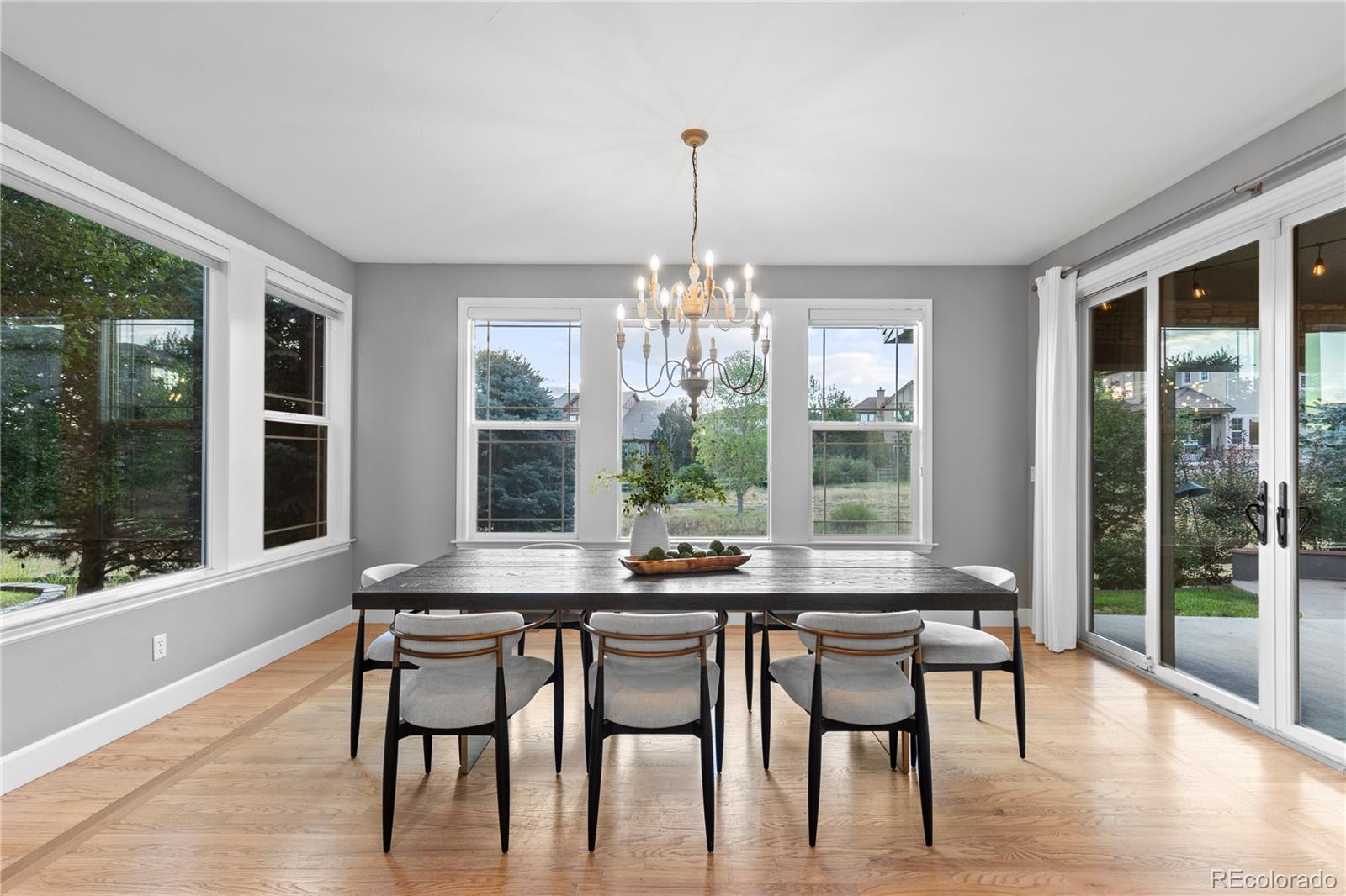 MLS Image #12 for 10482  marigold court,highlands ranch, Colorado