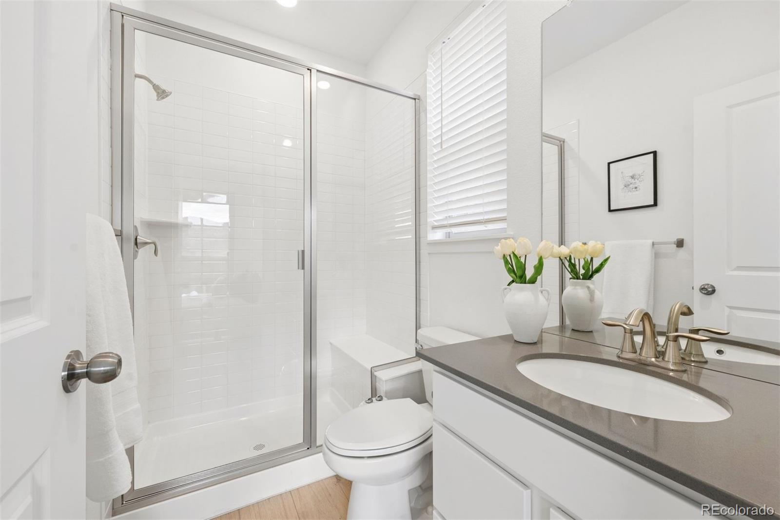 MLS Image #6 for 15626 w girard avenue,morrison, Colorado