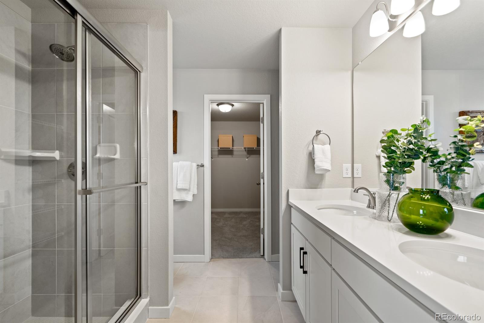 MLS Image #21 for 796 n carrie court,watkins, Colorado