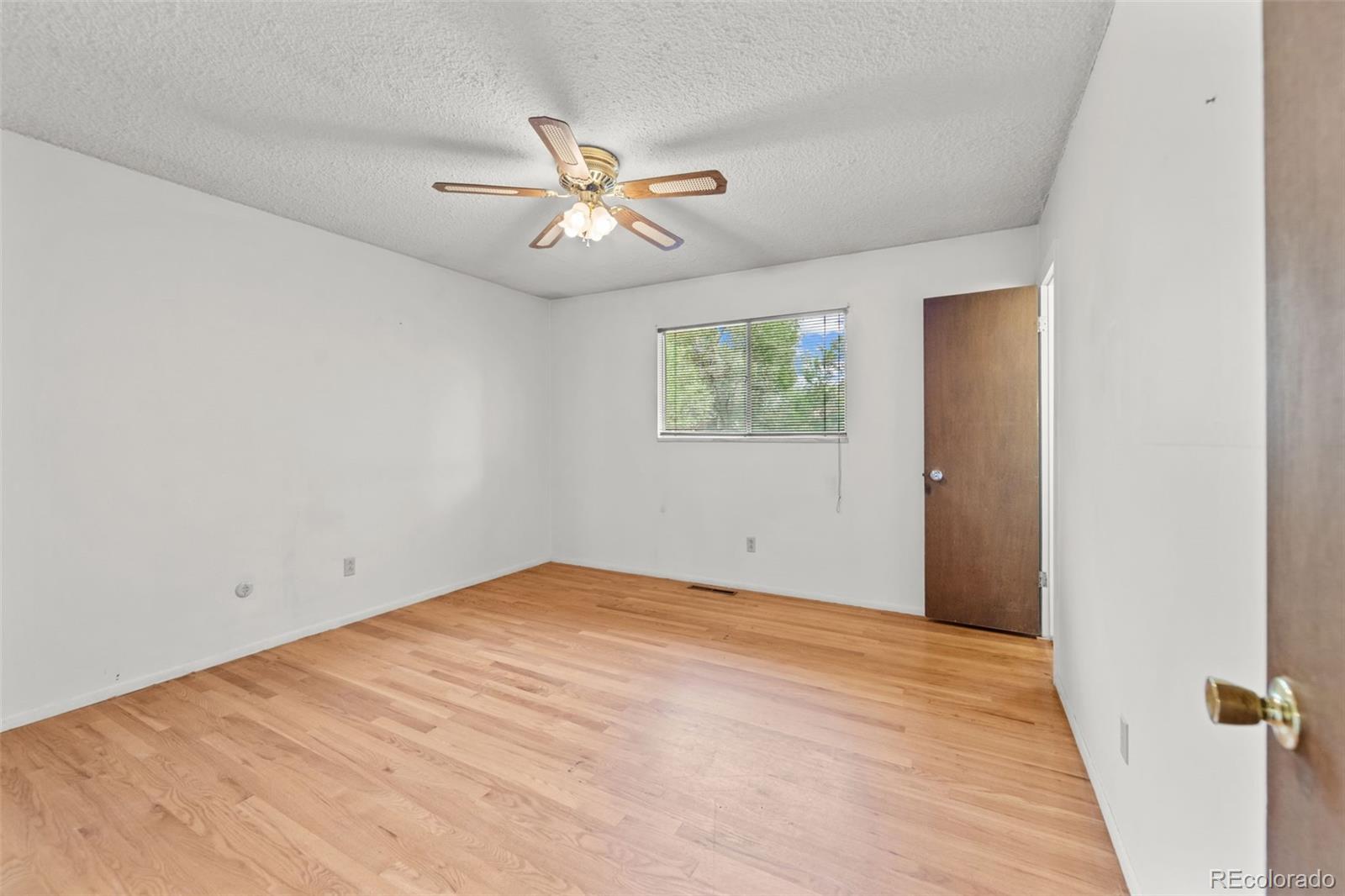 MLS Image #14 for 4105  garrett place,colorado springs, Colorado