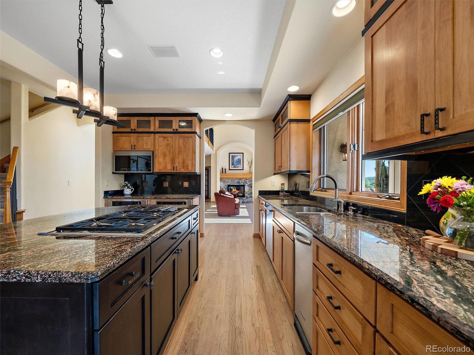 MLS Image #16 for 1584  bierstadt court,evergreen, Colorado