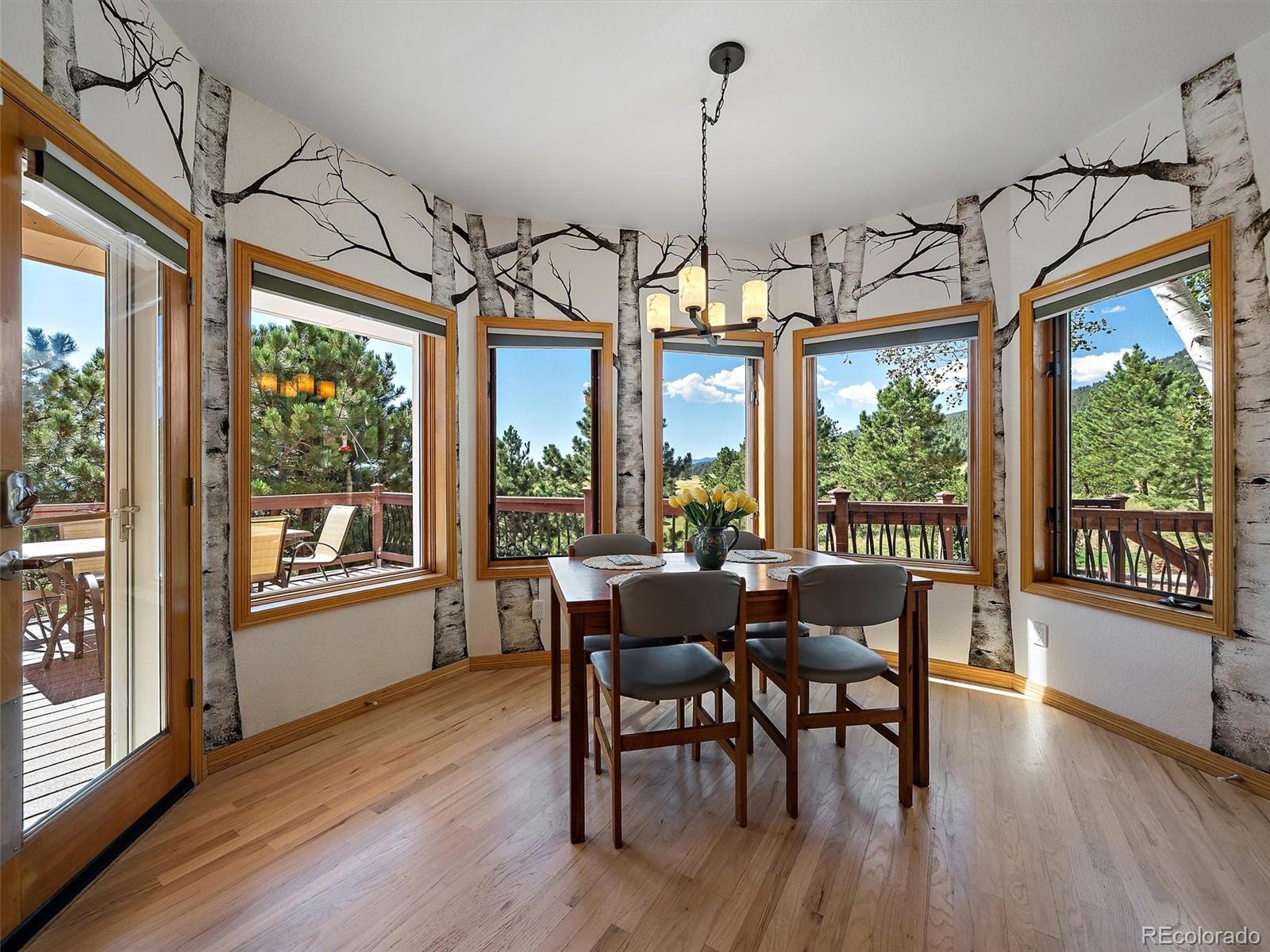 MLS Image #17 for 1584  bierstadt court,evergreen, Colorado