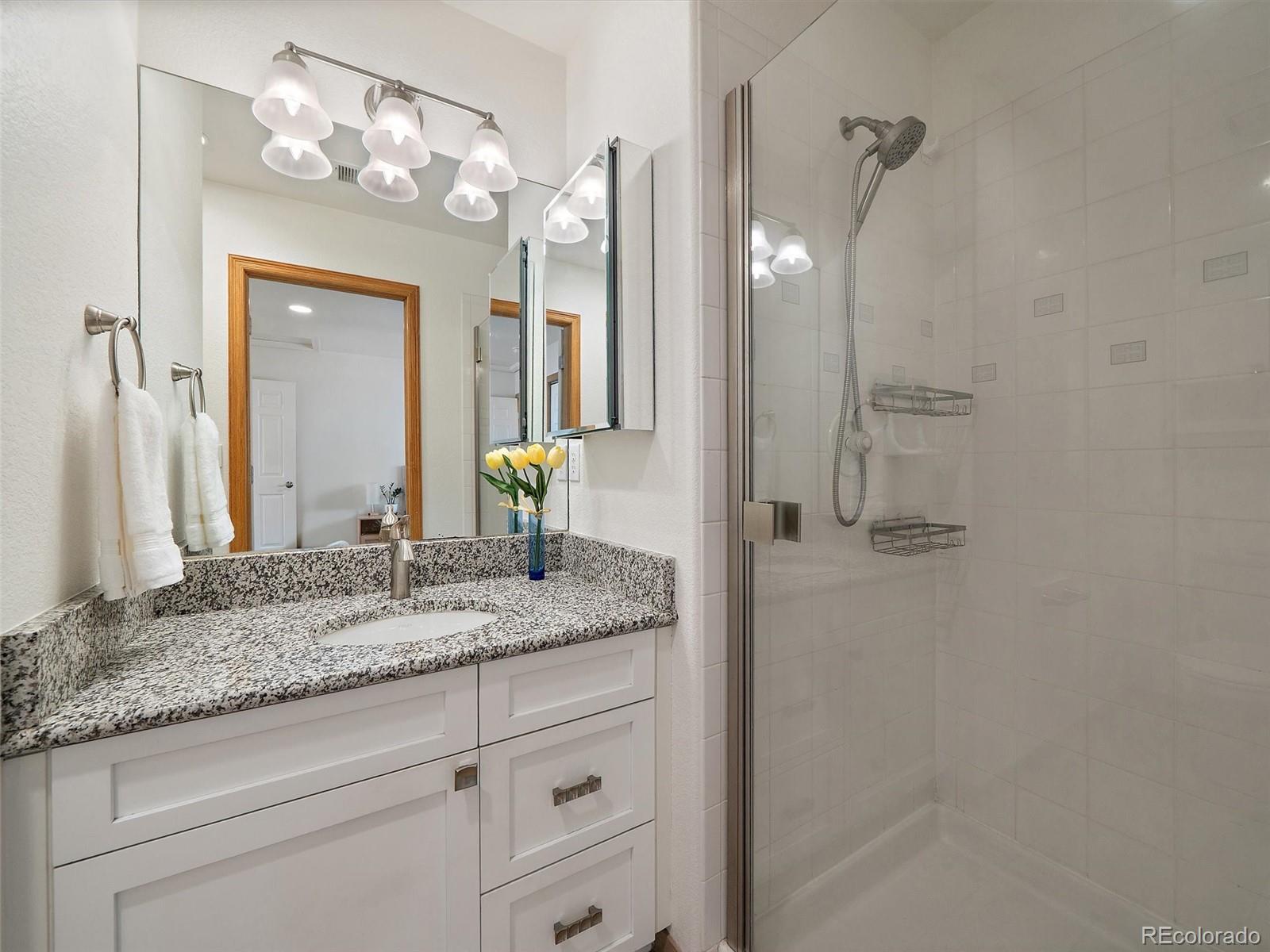 MLS Image #37 for 1584  bierstadt court,evergreen, Colorado