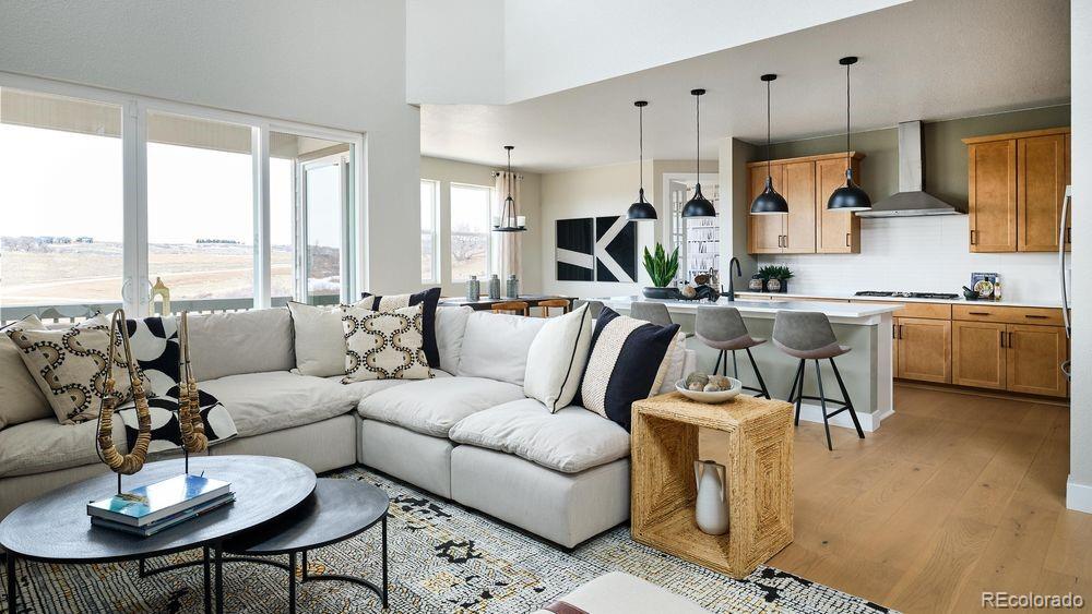 MLS Image #10 for 4207  canister point,castle rock, Colorado