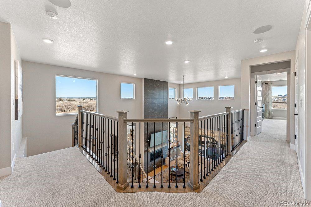 MLS Image #15 for 4207  canister point,castle rock, Colorado