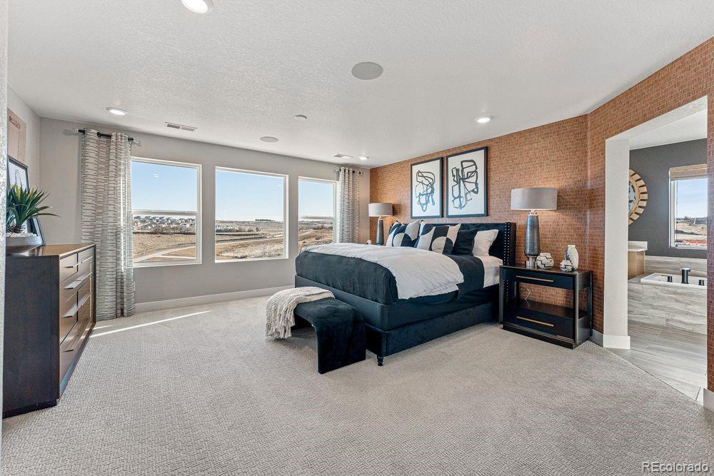 MLS Image #3 for 4207  canister point,castle rock, Colorado